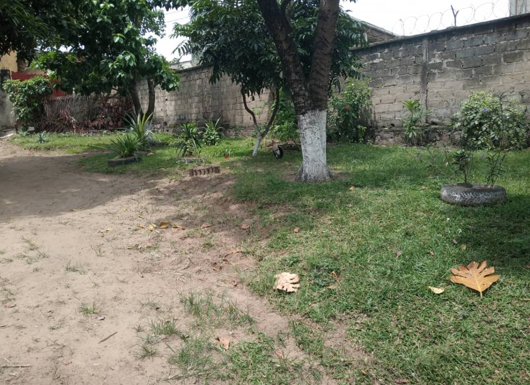Terrain à vendre à Kinshasa Mont Ngafula