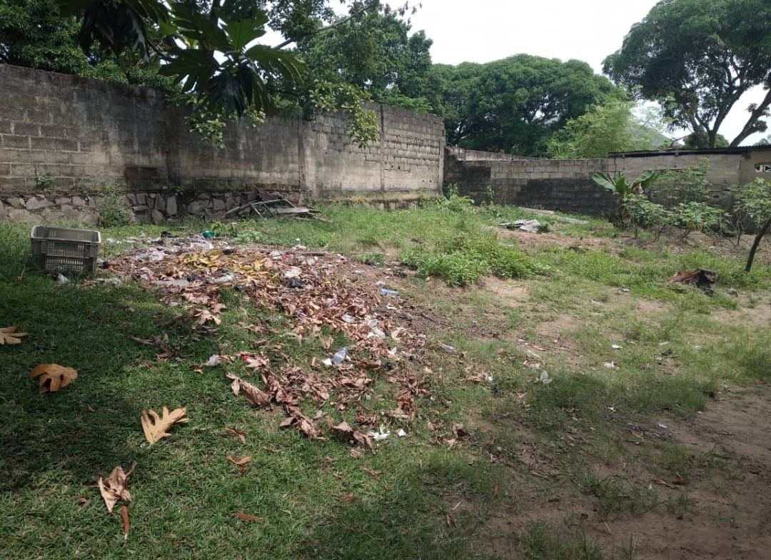 Terrain à vendre à Kinshasa Mont Ngafula
