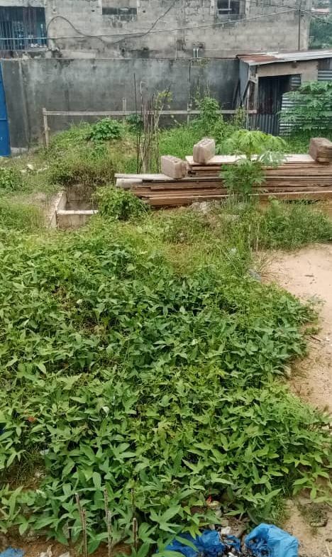Parcelle à vendre à Kinshasa, Lemba Salongo