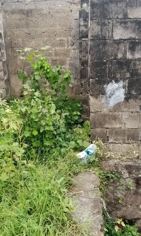 Parcelle à vendre à Kinshasa, Lemba Salongo