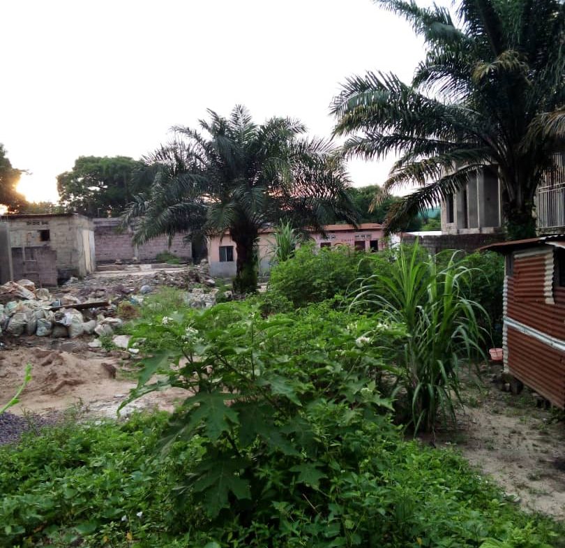 TERRAINS A VENDRE NGALIEMA BRIKIN