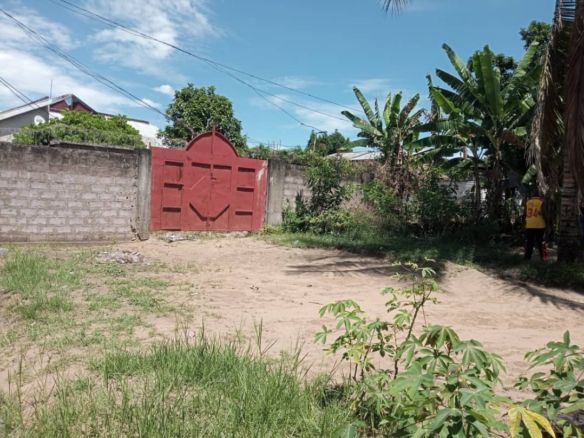 Parcelle à vendre à Mont Ngafula Q/ Mitendi 10 Parcelle à vendre à Mont Ngafula Q. Mitendi à kinshasa