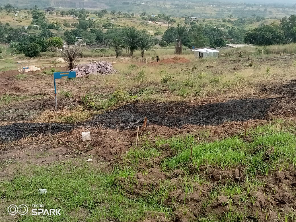 Terrain Vide à Louer à Kinshasa Mont Ngafula | A Louer Et A Vendre ...