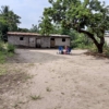 Vente d'une grande parcelle à Kimpoko 22 WhatsApp Image 2023 04 30 at 21.20.16
