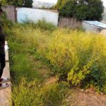 Terrain vide à vendre à mont ngafula