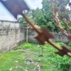 Vente d'un terrain vide clôturé et portail à Kinshasa LEMBA-SUPER 22 Vente d'un terrain à Kinshasa LEMBA-SUPER