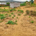 Terrain a vendre a mitendi