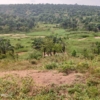 Vente d'une concession à Ngaliema Binza UPN 23 Terrain