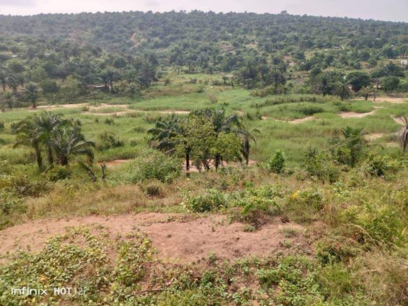 Vente d'une concession à Ngaliema Binza UPN 2 Terrain