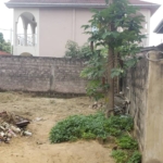 Terrain à vendre à Kinshasa UPN