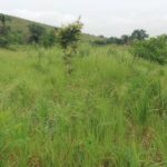 Whatsapp image 2023 06 27 at 17. 09. 22