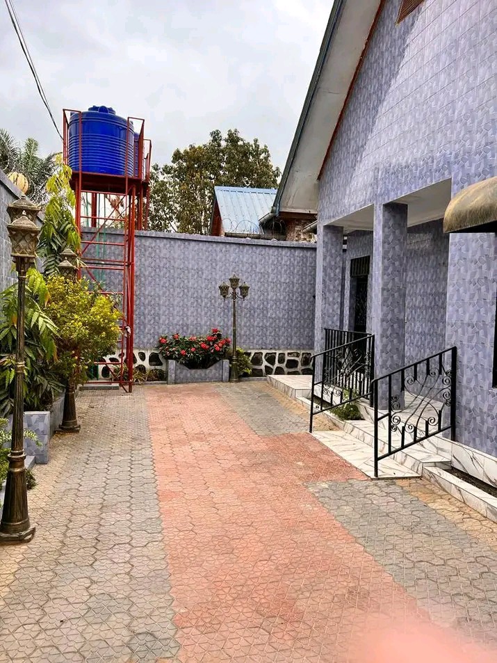 Maison à louer à Kinshasa mont-ngafula