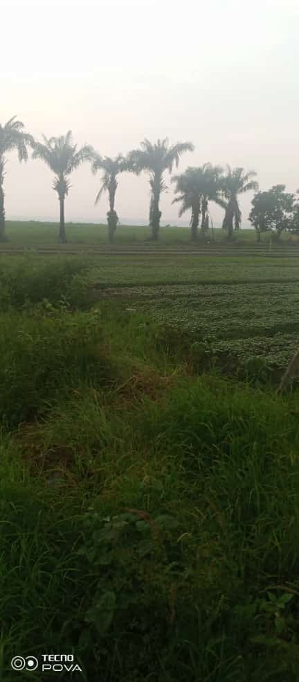 concession a vendre au bord du fleuve Congo à Kinkole