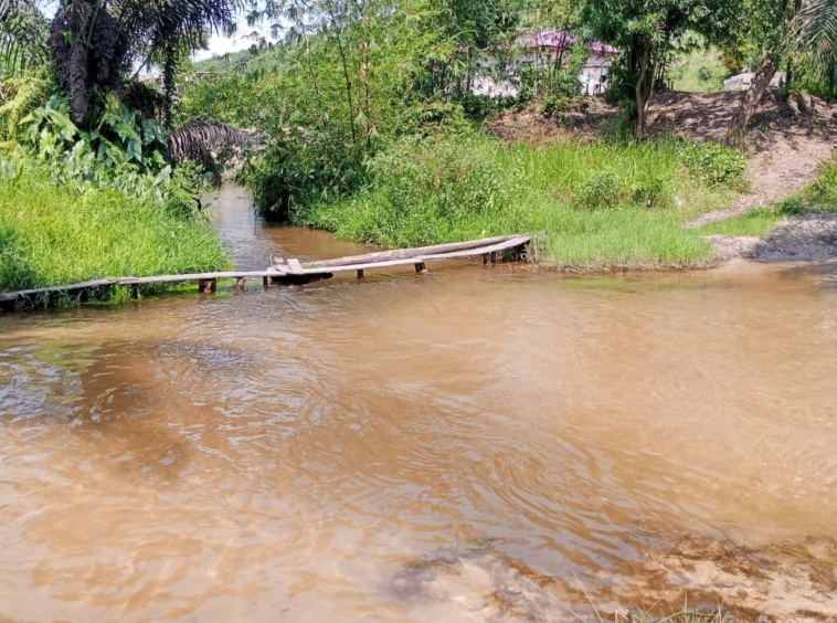 CONCESSION CADASTRÉ AVEC UNE RIVIÈRE ET DES ÉTANGS À N'SELE KIMPOKO VOIR ARRÊT MAYI YA PEMBE