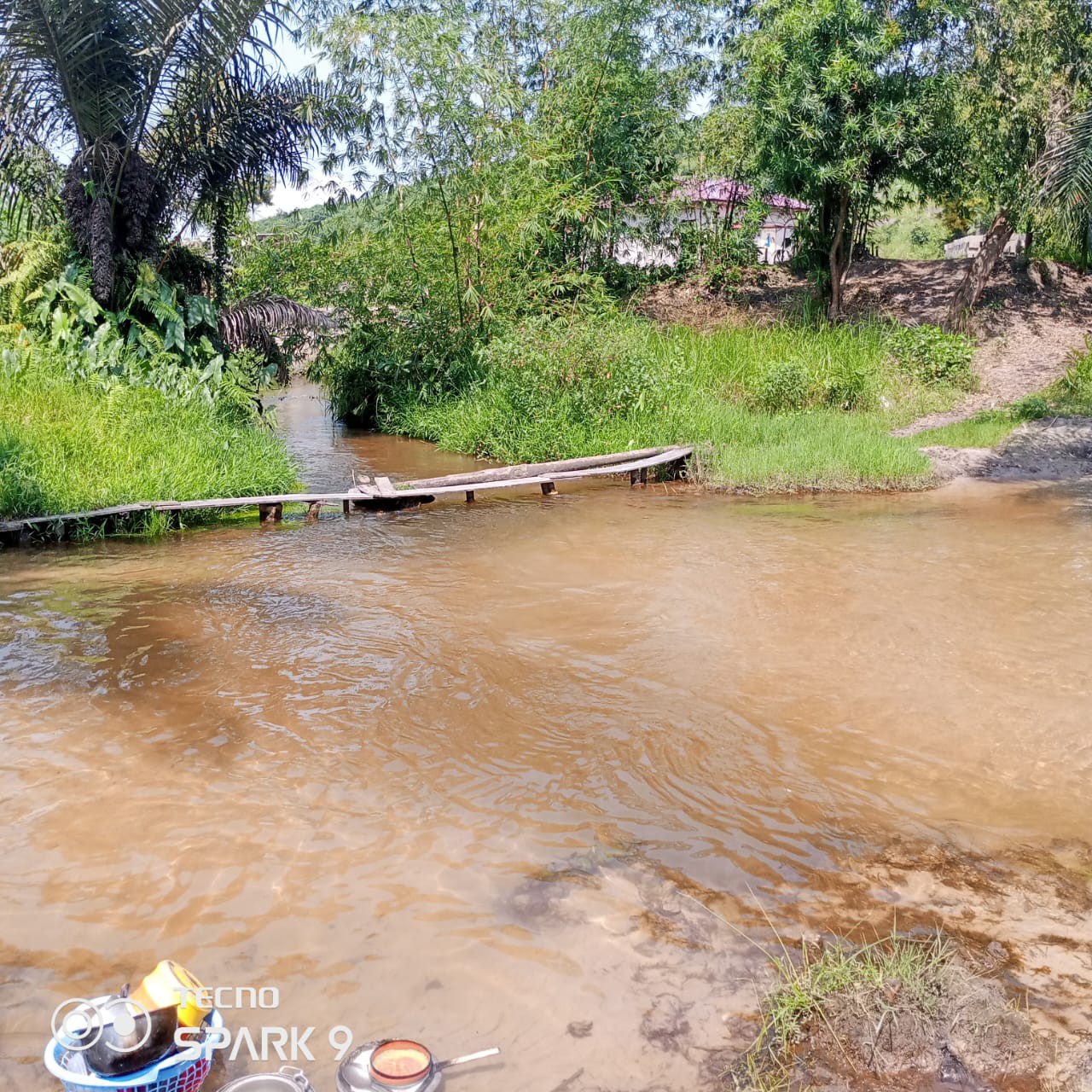 CONCESSION CADASTRÉ AVEC UNE RIVIÈRE ET DES ÉTANGS À N'SELE KIMPOKO VOIR ARRÊT MAYI YA PEMBE