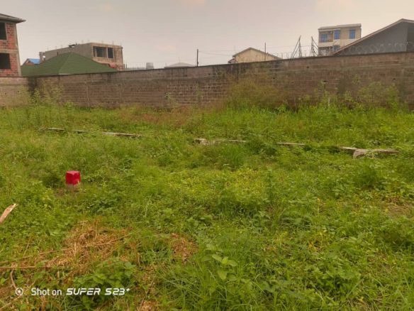 Parcelle mise en vente à limete 6 Parcelle à vendre