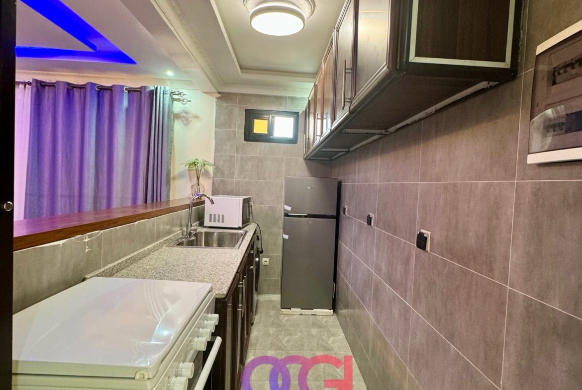 Appartement meublé