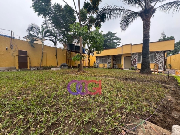 Location d’une villa à GB référence Mino Congo 20 villa louée à GB mino Congo