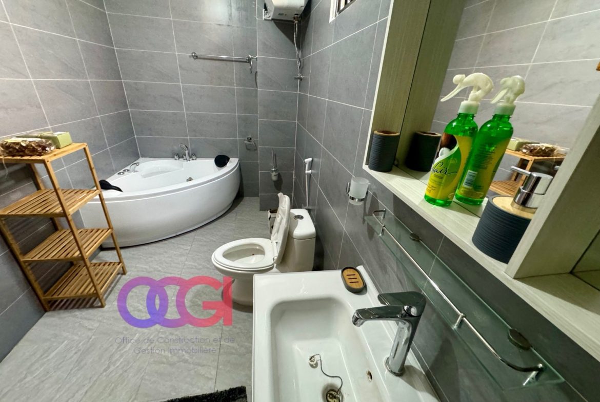 Appartement meublé