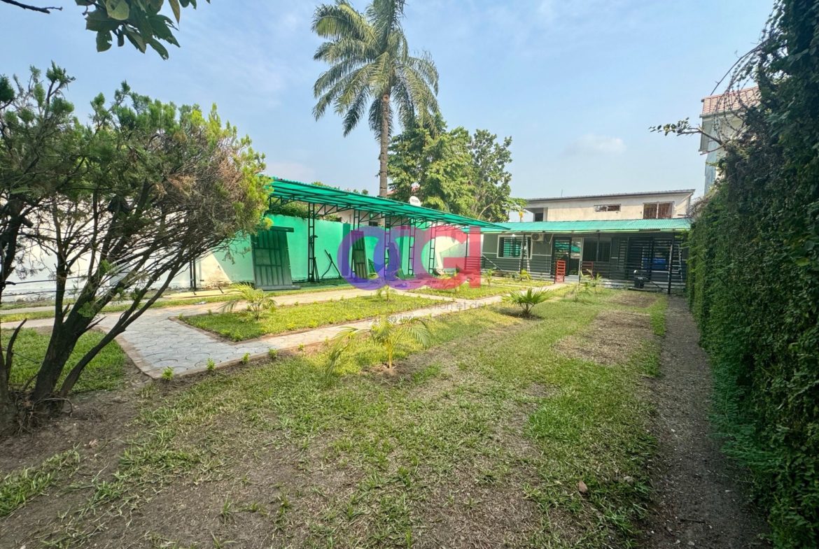 Appartement à louer Gombe