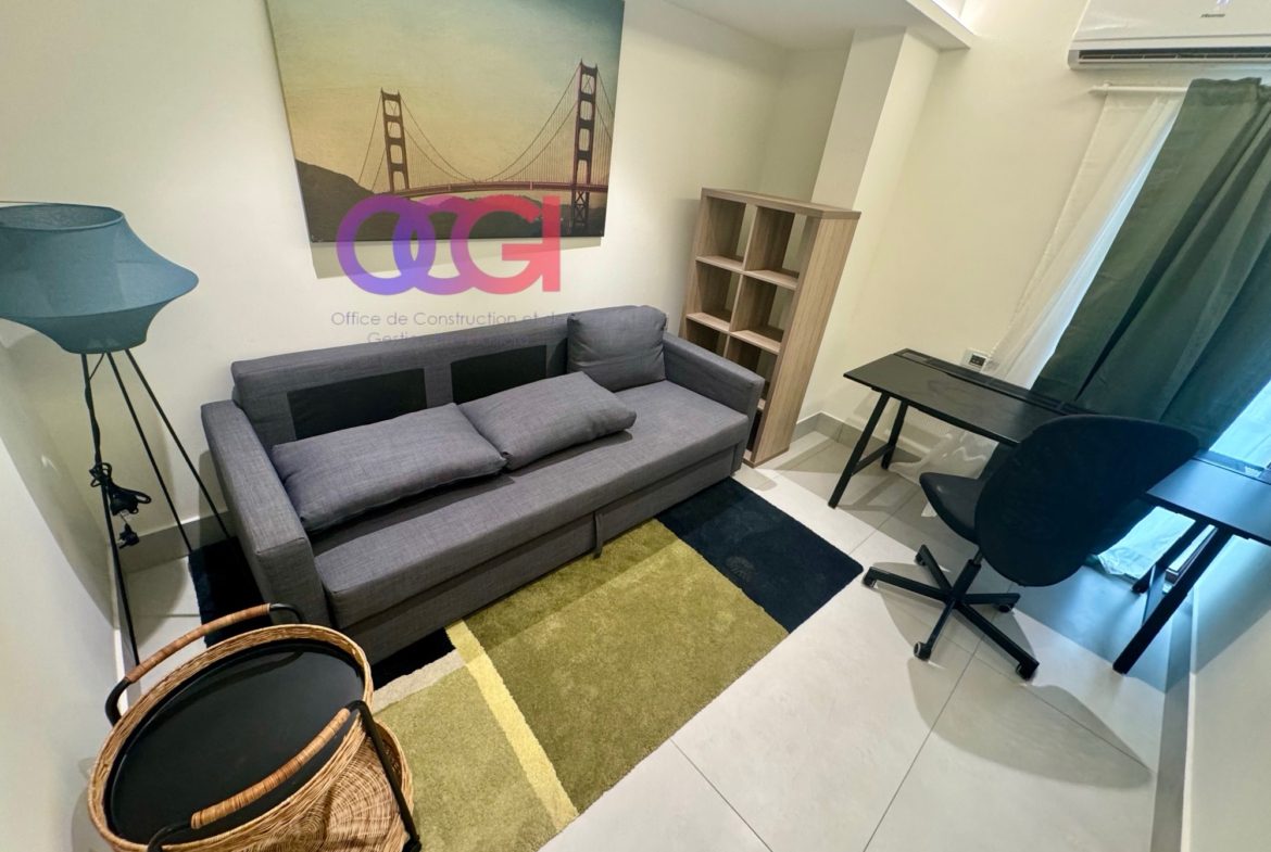 Appartement meublé