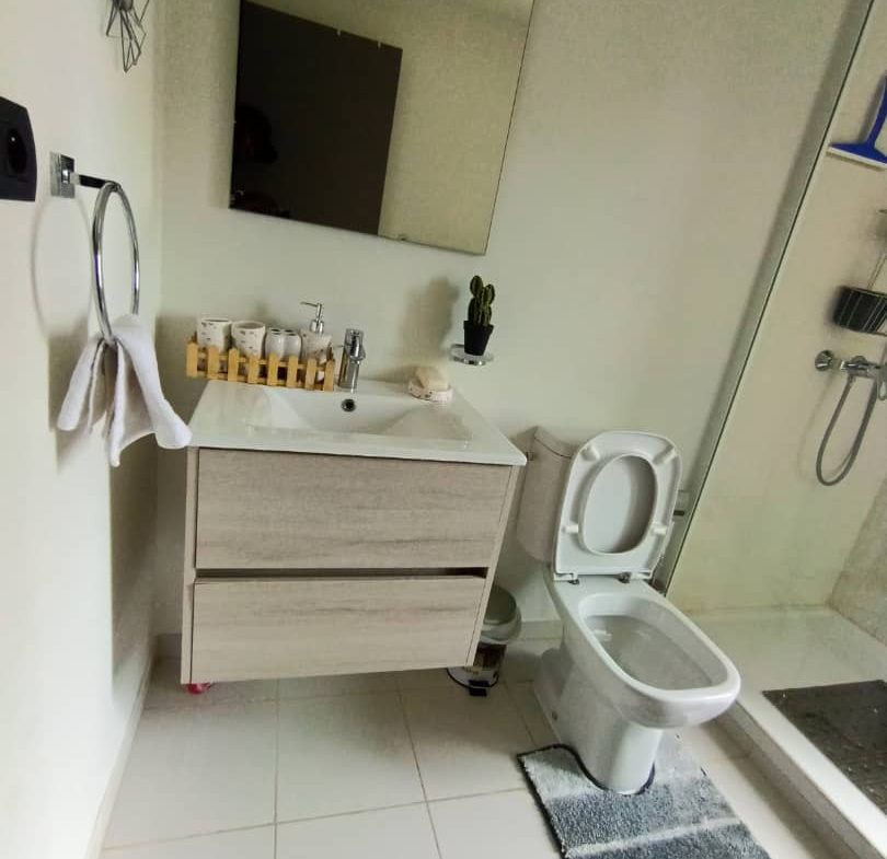 Appartement meublé