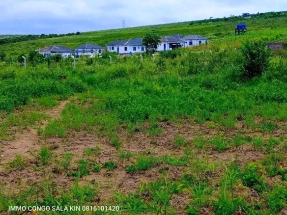 Terrain à vendre à N'SELE KIMPOKO 14 Terrain à vendre