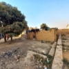 Parcelle à vendre à Lubumbashi au Golf plateau 1. 22 scaled 20240624 165714