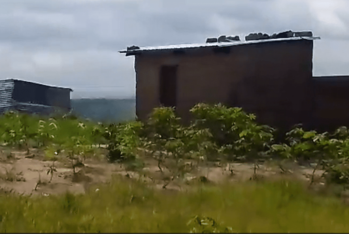 terrain
