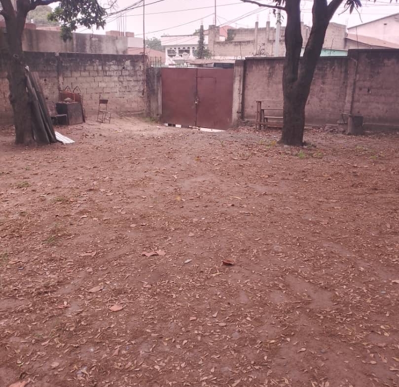 Terrain