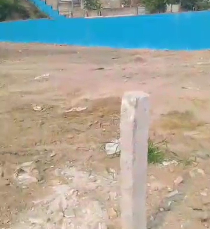 terrain