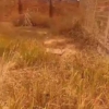 Terrain à vendre au Golf plateau à Lubumbashi 22 scaled 1000552288 1