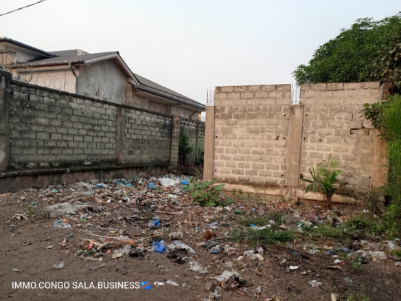 Parcelle à vendre à Kinshasa N'Sele 4 parcelle à vendre