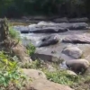 Concession agricole à vendre à Kasangulu avant péage 22 terrain