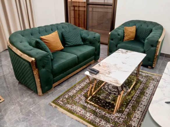 APPARTEMENT meublé à louer 24 novembre 42 appartement