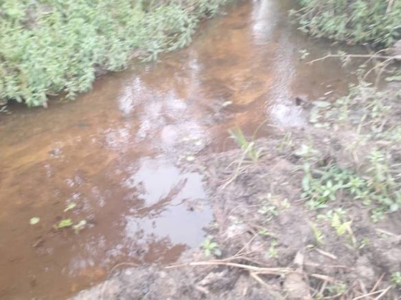 Concession Agricole a vendre à Kasangulu 32 terrain