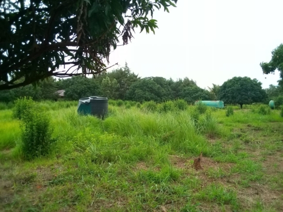 CONCESSION À VENDRE DANS LA VILLE DE LUBUMBASHI SUR ROUTE LIKASI 15 conccession