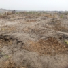 Vente des terrains à N'SELE BIBWA 22 terrain