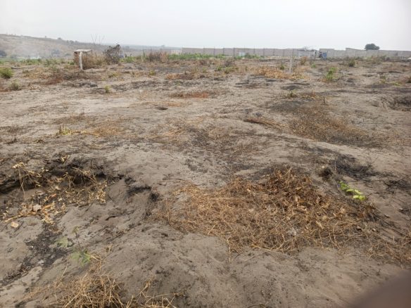 Vente des terrains à N'SELE BIBWA 38 terrain