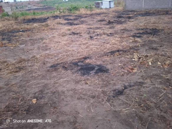 Des terrains à vendre dans la commune de la N'SELE précisément à BIBWA 40 terrain