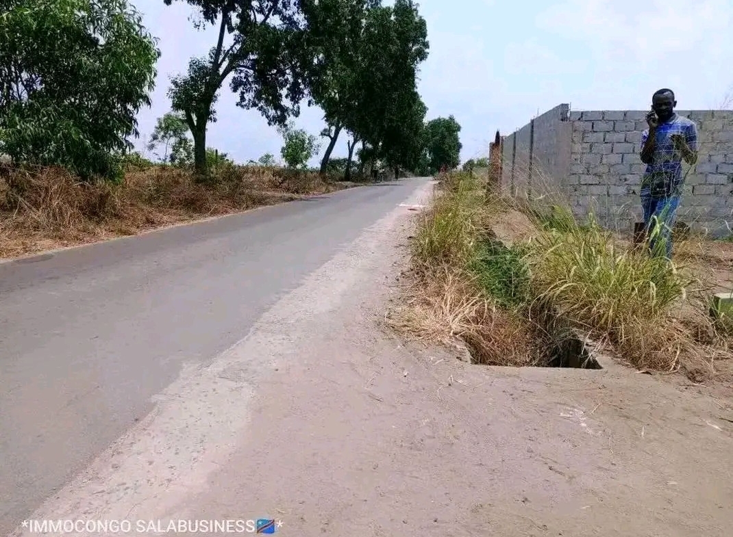 terrain