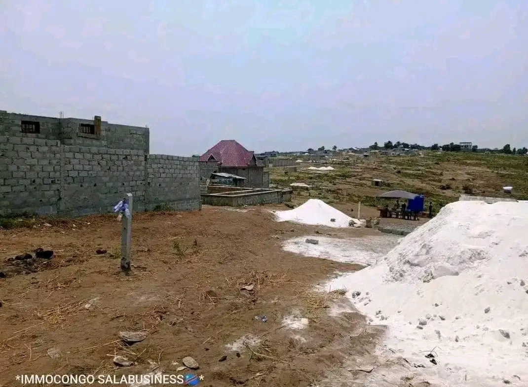 terrain