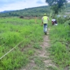 50 HECTARES A VENDRE A N’SELE BIBWA B.A.T 23 terrain