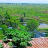 TERRAIN A VENTRE 2 HECTARES AGRICOLE DISPONIBLE A N'SELE BIBWA 22 terrain