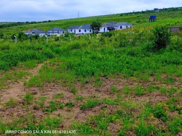 VENTE DES TERRAINS VIDE À N'SELE KIMPOKO VOIR NÉCROPOLES II 6 terrain