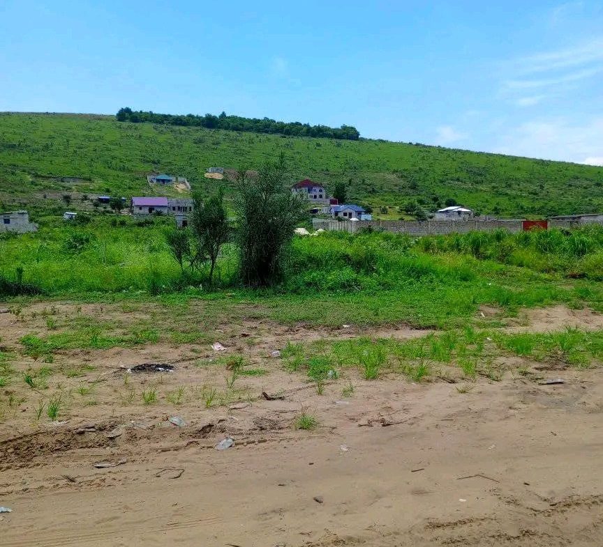 terrain