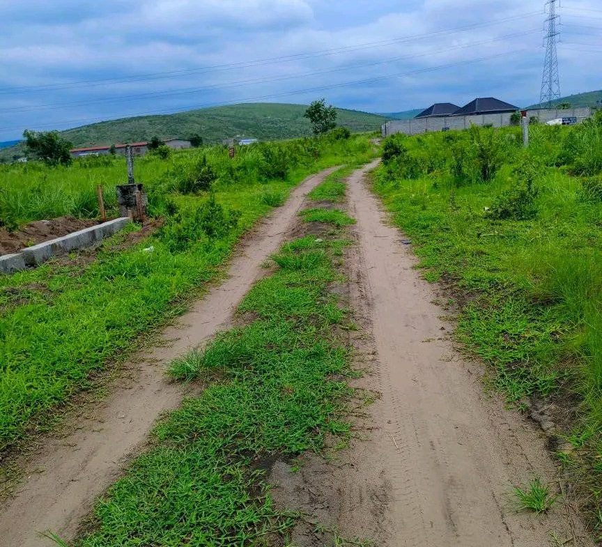 terrain