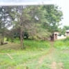 CONCESSION À VENDRE DANS LA VILLE DE LUBUMBASHI/ CÔTE PARK MUYAMBO 22 ferme