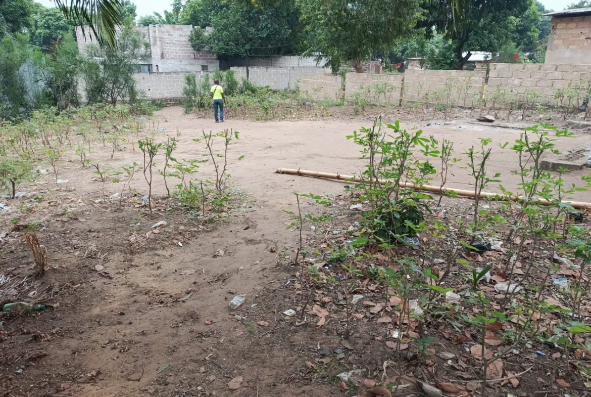 TERRAIN A VENDRE