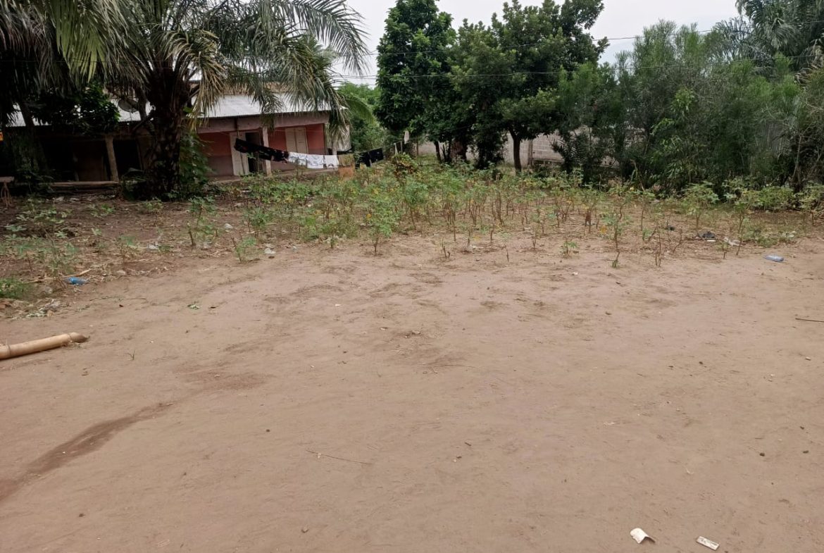 TERRAIN A VENDRE